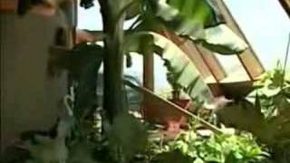 Earthship Biotecture on the Weather Channel [upl. by Gibbons]