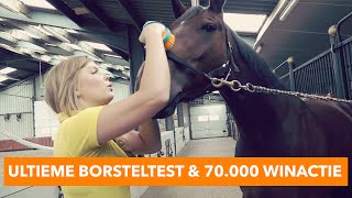 De ultieme borsteltest  70000 Winactie  PaardenpraatTV [upl. by Atik92]