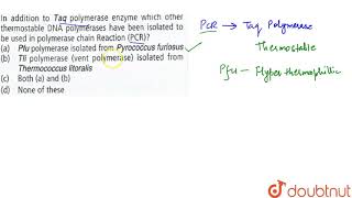 In addition to Taq polymerase enzyme which other thermostable DNA polymerases have [upl. by Eidua629]