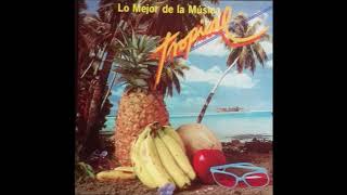 LO MEJOR DE LA MUSICA TROPICAL DEL AÑO 1988 TE ACUERDAS DE ESTAS [upl. by Hebbe]