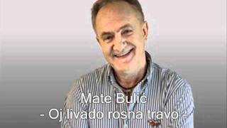 Mate Bulic  Oj livado rosna travo [upl. by Ylhsa555]