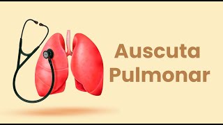 Ausculta pulmonar  Sons pulmonares anormais [upl. by Laddie886]