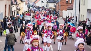 Karneval 2017  WCV Festumzug in Gröbzig [upl. by Nelle324]