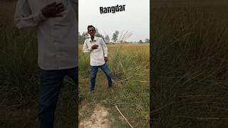 Rangdaar ❌ polio ka Sikar ✅ ytshorts funny trending viralvideo 1million [upl. by Llewkcor]