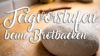 Brotvorstufen  so backst du perfektes Brot zuhause [upl. by Narahs]