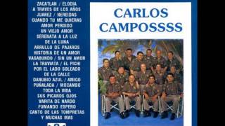 Carlos Campos  Elodia [upl. by Ahsennek]