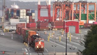 Local Train CN 519 Pulling Containers from the PSA Atlantic Hub Terminal  Halifax NS [upl. by Adnoryt]