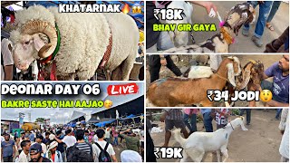 Deonar Bakra Mandi Day 07 Full Tour  Bakro Ka Bhav Hua Sasta Baarish Ke Baad deonar vlogs viral [upl. by Kimmel]