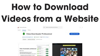 How to Download Videos from Any Website for Free  Video Downloader Professional Tutorial [upl. by Aleibarg765]