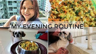 My Evening Routine Vlog  Why My Day Started So Late  Easy Home Cooked Nutritious Dog Meal [upl. by Nosde]