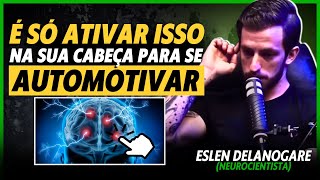 SINTASE MAIS DISPOSTO Neurociência Por Trás Da Automotivação  ESLEN DELANOGARE [upl. by Mahala]