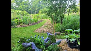 Permaculture and NatureGuided Design Q amp A PART 1 of Creating a PERMACULTURE FOOD FOREST [upl. by Ynna883]