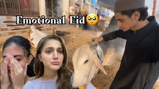 COW KI QURBANI😭 SAB EMOTIONAL HO GAYE🥺SABA LOGO KI DAWAT🥘🍗 [upl. by Ailaro519]