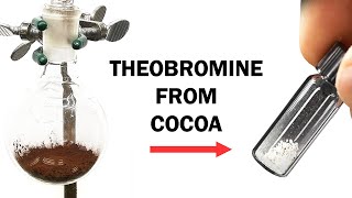 Extracting the theobromine from cocoa powder [upl. by Cappello]