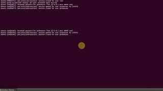 Python Advanced Tutorial  How to build SSH client in Python [upl. by Lorri]