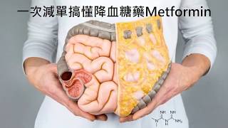 Metformin能用來減肥嗎？一次減單搞懂降血糖藥Metformin [upl. by Conant980]