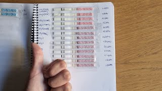 Tests de ovulación y predicción de embarazo progreso tests de embarazo Pico y positivo [upl. by Etrem528]