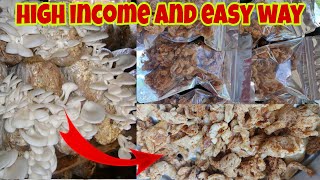 How to Make Oyster Mushroom Chicharron  Complete Guide [upl. by Yruy]