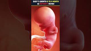 1 To 9 Month Baby Growth In Mothers Womb During Pregnancy health youtubeshorts babyshorts [upl. by December455]