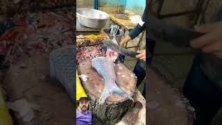 Amazing catlafishcutting fishing bigkatlafishcutting shorts viralvideo [upl. by Enelyt]