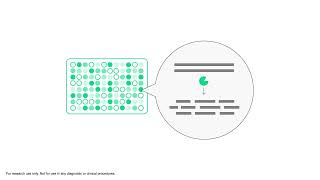 Twist Bioscience Launches FlexPrep™ UltraHigh Throughput Library Preparation Kit [upl. by Aroon]