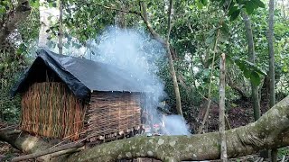 Camping di hutan  Membangun pondok sederhana menggunakan rotan [upl. by Buerger]