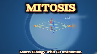 MITOSIS  CELL DIVISION  CELL BIOLOGY  EDUPOINT PATHSHALA [upl. by Frida]