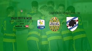 LIVE  Primavera TIM Hellas VeronaSampdoria [upl. by Yra]