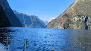 Entering Milford Sound April 2 2024 [upl. by Ashelman]