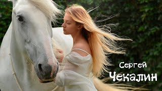 Listen to very beautiful music for 23 minutes 🎶Sergey Chekalin🎶 Collection of songs🎼 [upl. by Bran]