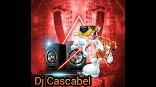 Los Felinos mix ByDj Cascabel [upl. by Benton134]