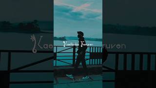 Manasa kondu ne pogura maane song lyrics Whatsapp status Tamil❤️Sottu sotta kadhalshortslyrics [upl. by Maccarone]