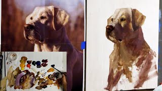 Painting The Yellow Labrador with Acrylics Part 1 Blocking In [upl. by Eltsyrk828]