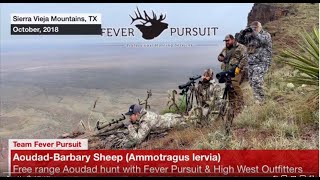 Long Range Aoudad hunt in West Texas [upl. by Leirol]