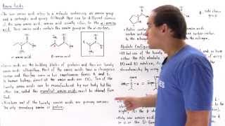 Structure of Amino Acids [upl. by Aylsworth225]