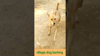 Dog barking in village990kviralshorts [upl. by Graff]