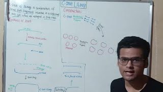 Construction Of Cdna Library  GenomicBioscience  Synthesis Of Cdna [upl. by Leterg41]