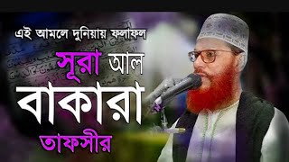 সূরা আল বাকারা তাফসীর  আল্লামা দেলোয়ার হোসেন সাঈদী  SURA AL BAKARA  ISLAMIC JORNA [upl. by Frechette]