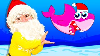 Christmas Baby Shark  Baby Songs amp Nursery Rhymes  Coco Froco [upl. by Liatrice]