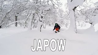 La mejor nieve polvo de Japón Rusutsu JAPOW [upl. by Ecneps]