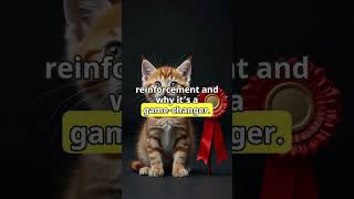 Effective Methods How to Potty Train a Stubborn Kitten🐱KittenTraining PottyTraining PetCareTips [upl. by Cherianne]