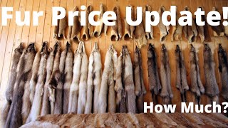 2022 Fur Auction Prices  Results [upl. by Sherie]