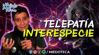 Conexión Psíquica entre Humanos y Animales ✅ miedoteca  2676 [upl. by Dierdre]