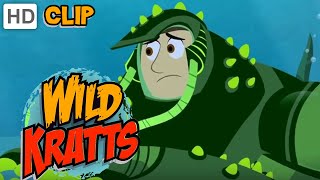 Wild Kratts  Microscopic Martin [upl. by Tibbetts]