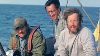 Jaws 1975 Movie Review [upl. by Acsecnarf]