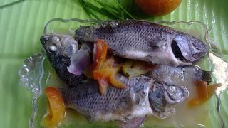 Pangat na Tilapia Recipe [upl. by Pavla]