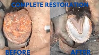 Pony hoof restoration [upl. by Alrad886]