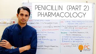 Pharmacology of Penicillin  BetaLactam Antibiotics  Mechanism of Action of Penicillin [upl. by Buskirk133]