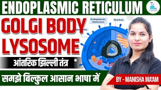 Endoplasmic Reticulum  Golgi body  Lysosome  Anatomy amp Physiology Lecture by Manisha Maam [upl. by Eciryt]