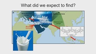 CARTA Ancient DNA and Human Evolution – Tony Capra Phenotypic Legacy of Neandertal Interbreeding [upl. by Inohs]